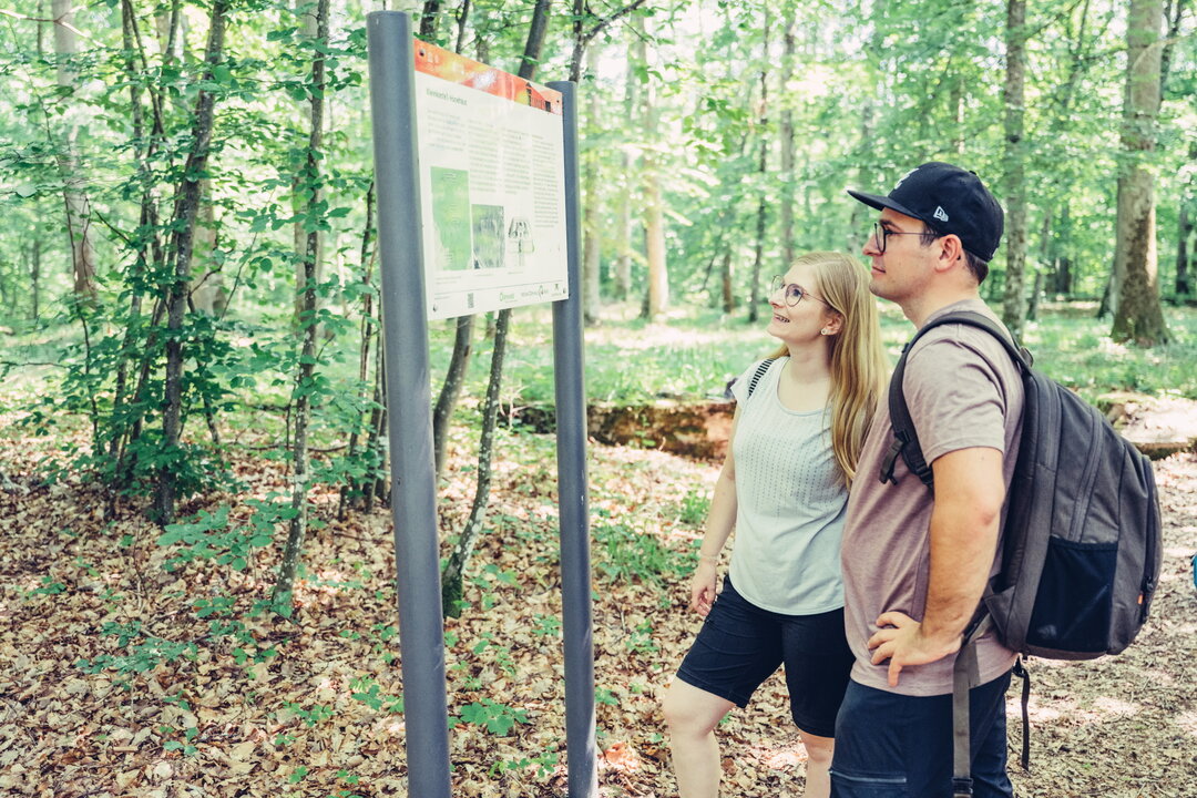 Zwei Wanderer vor einer Tafel am Herkulespfad bei Buchen im Odenwald