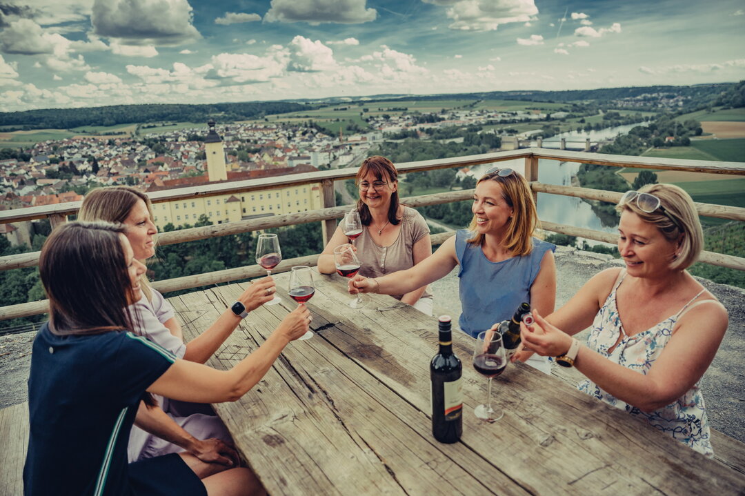 Frauengruppe beim Wein trinken im Weinberg