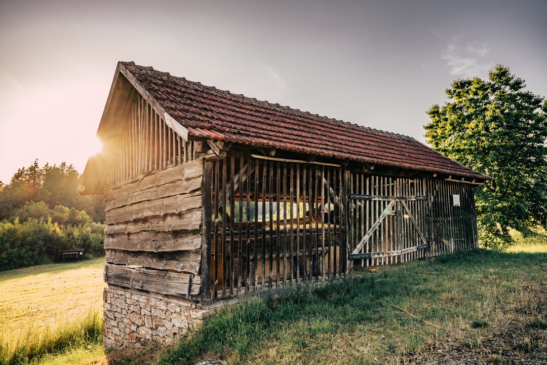 Grünkerndarre im Odenwälder Freilandmuseum